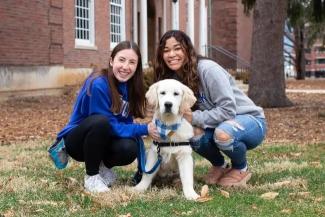 Students at the College of Education