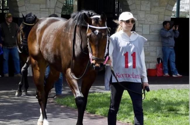 A woman walks next to a horse at Keeneland