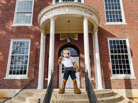 Wildcat on Taylor Education Building steps